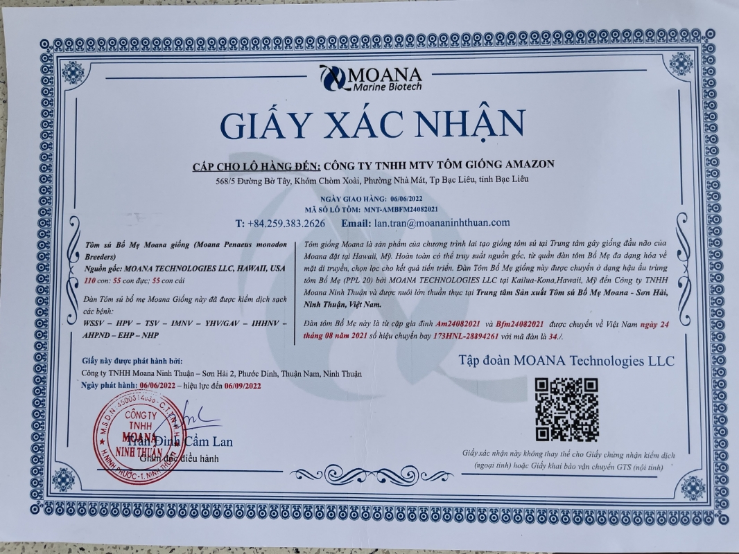 Giấy chứng nhận sản phẩm 