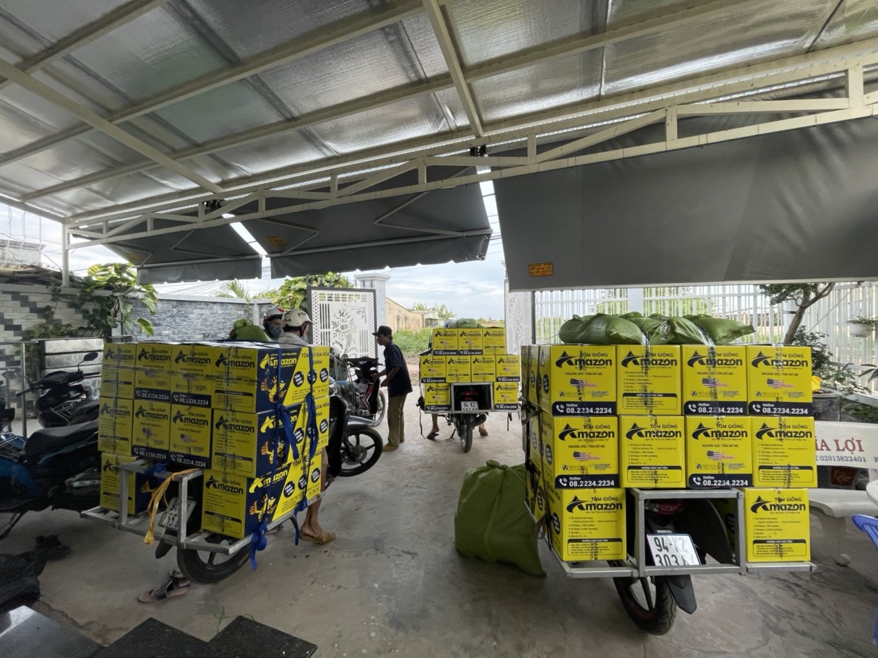 Vận chuyển tận ao chuyên nghiệp 