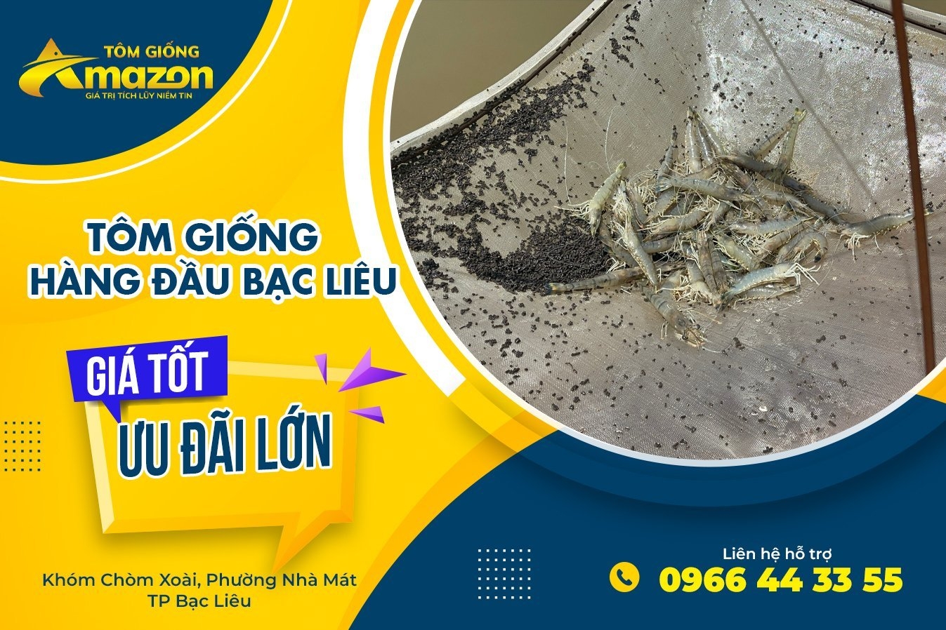 Nhà Cung Cấp Tôm Giống Uy tín Hàng Đầu Kiên Giang - Amazon 