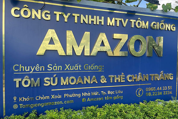 tom-su-moana-amazon-tom-giong-gia-tot%20