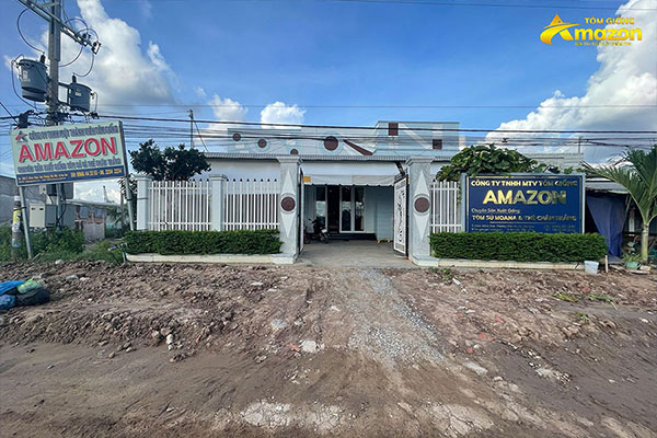 tom-su-moana-amazon-tom-giong-gia-tot%20